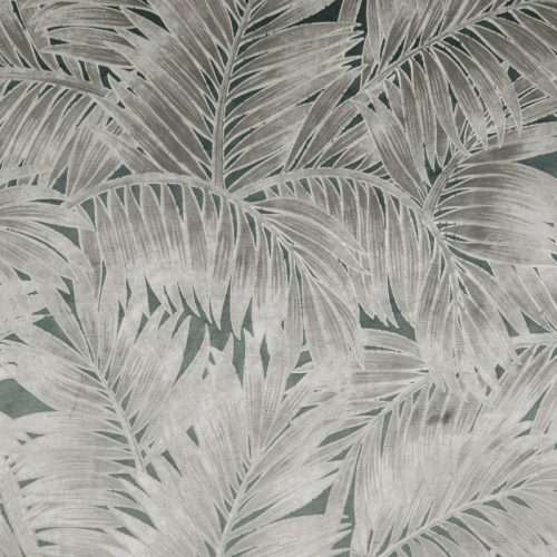 velours cycas 64