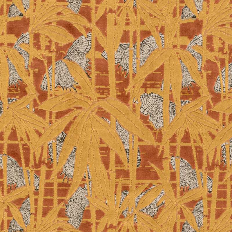 velours farfalla 34 van nobilis