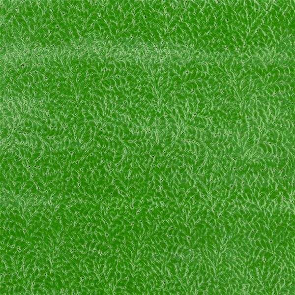 cartouche malachite