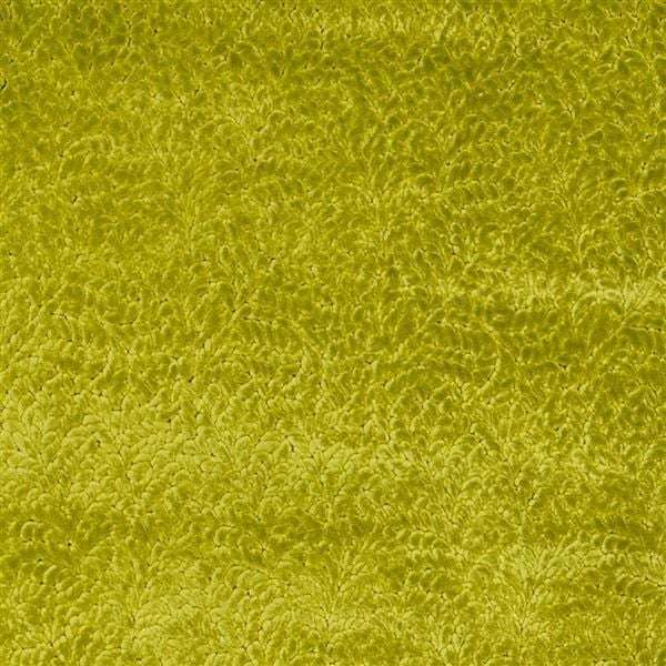 cartouche moss