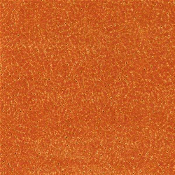 cartouche saffron